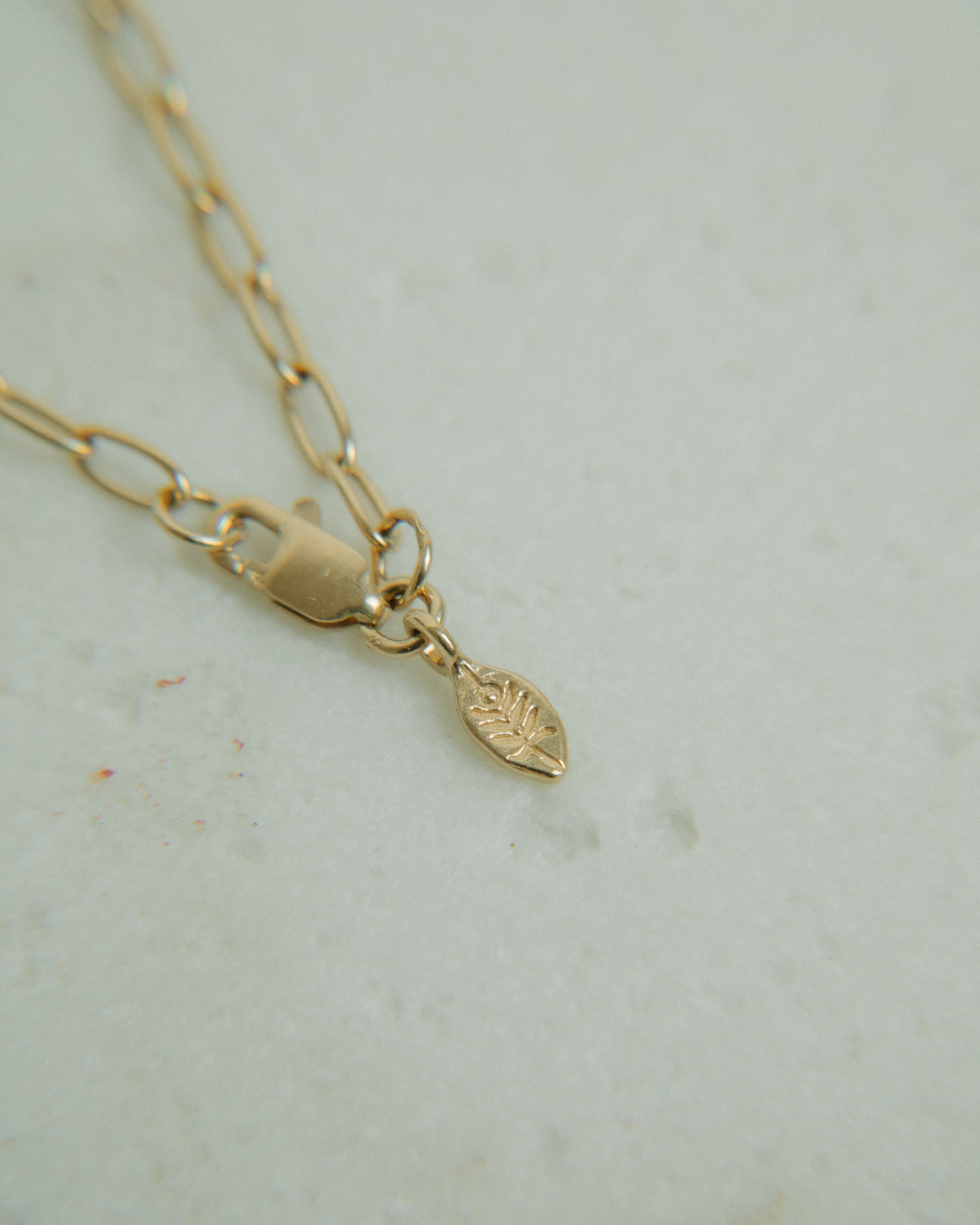 Cadena PAPER CLIP en Plata Bañada en Oro 18k